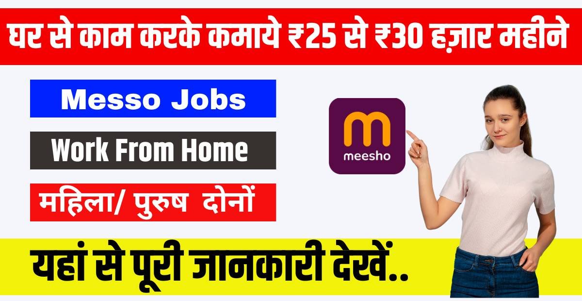 Meeso Work From Home Job