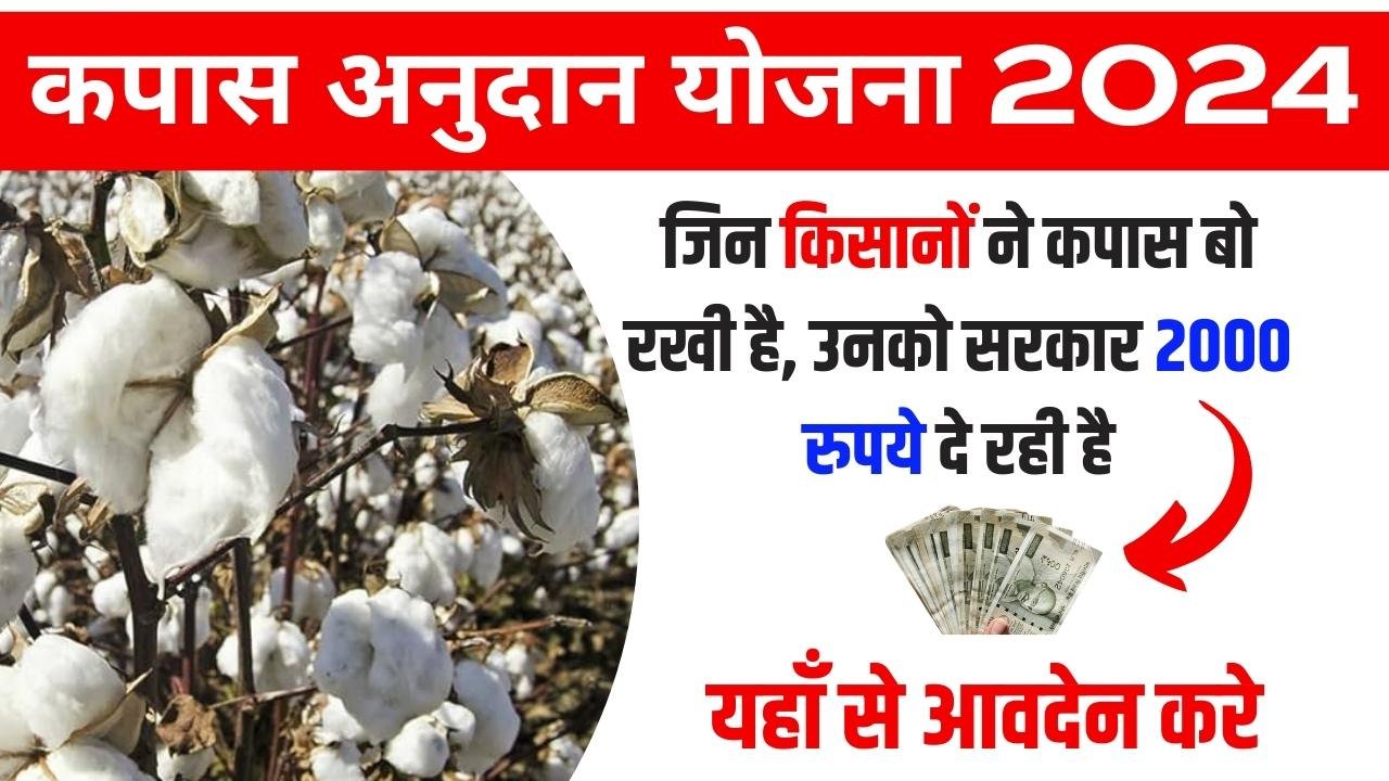 Cotton Anudan Yojana