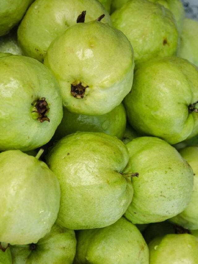 Guava