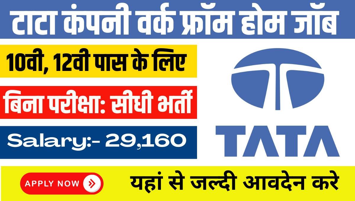 TCS Work From Home Job